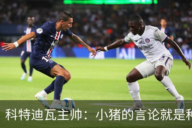 科特迪瓦主帅：小猪的言论就是种族歧视，可能是退役后想博流量吧